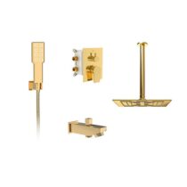 Built-in shower faucet, golden romer model (brass head) type 1