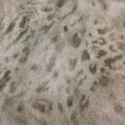 Wallpaper Selvijia code 88753